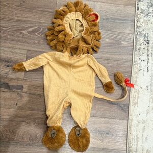 Adorable Lion Costume for baby